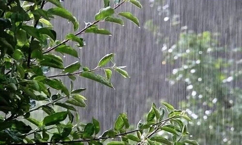 بارش تگرگ سنگین در ایلام؛ هشدار هواشناسی جدی شد!