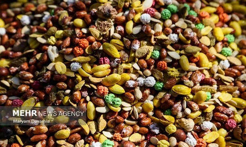 نمایشگاه شب یلدا در بندرعباس با ۲۵۰ غرفه جذاب و تخفیف‌های ویژه افتتاح شد!