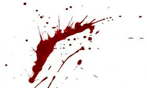 افزایش نگران‌کننده قتل زنان در کانادا؛ آیا قانون به‌روز می‌شود؟