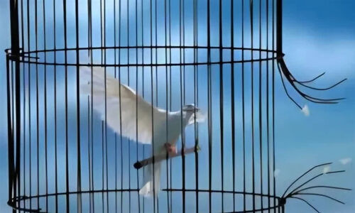 دادستان پاکدشت خبر داد: آزادی 22 زندانی و مرخصی ویژه شب یلدا در زندان‌های تهران