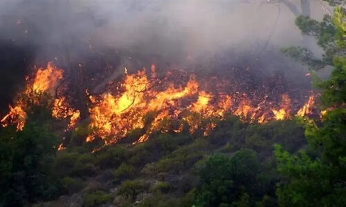 چگونه آتش با آتش در جنگل‌های الیت مهار شد؟ روایت پشت‌پرده یک عملیات نفس‌گیر