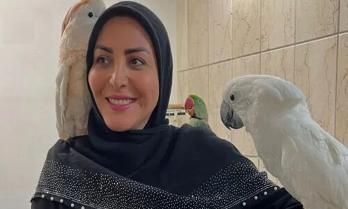 المیرا شریفی نیا با مانتوی مزونی و سنگ‌کاری شده در آنتن زنده شبکه دو؛ استایل متفاوت گوینده خبر که همه را شگفت‌زده کرد!