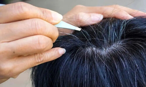 طب سنتی با چه رازهایی علت سفیدی مو را توضیح می‌دهد؟ کشف نکات شگفت‌انگیز درباره سلامت و تغذیه!