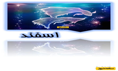 سفر زمان با شکیرا: بازگشت به فلوریدای سال 1381 و 25 سالگی خواننده محبوب!