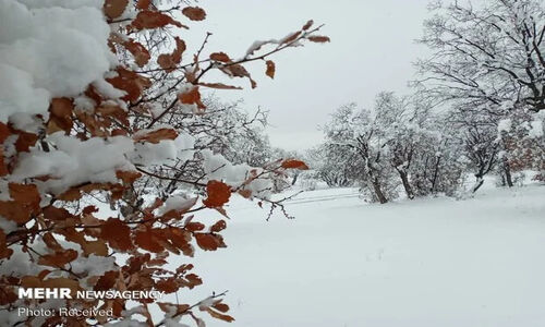 بارش برف نادر در ارتفاعات خوزستان؛ هشدار هواشناسی برای روزهای آینده