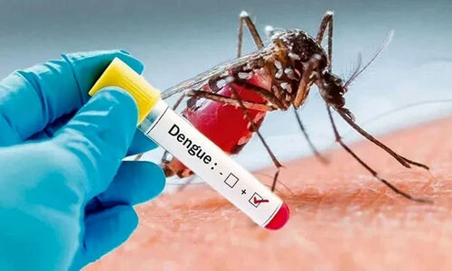 تب دنگی در 11 استان؛ چگونه نیش پشه آئدس را مهار کنیم؟