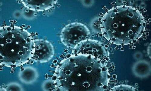 هشدار جدی مسئولان کیش درباره وضعیت شکننده جزیره در برابر موج آنفلوآنزا