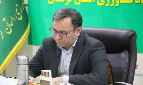 طرح ملی دامداری روستایی لرستان؛ راهکاری برای جهش تولید گوشت قرمز در میانه چالش‌ها