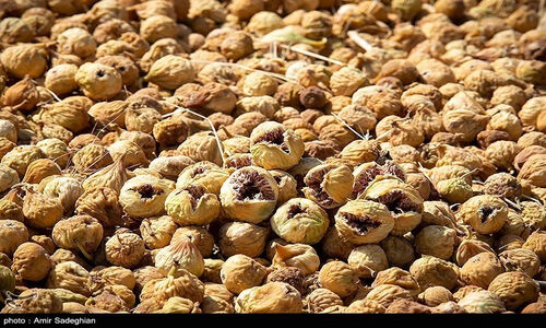 چرا قیمت خشکبار در مشهد قبل از یلدا به شکل عجیبی ثابت مانده؟
