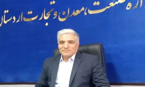 کشف 11 تخلف بزرگ صنفی در طرح نظارتی ویژه شب یلدا در اردستان