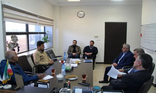 عضو شورای شهر سنندج: بحران سگ‌های بلاصاحب فقط با همکاری همه نهادها حل می‌شود!
