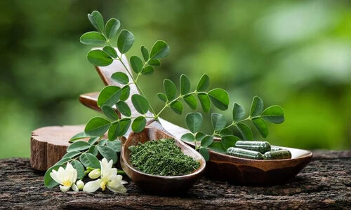 آب مورینگا؛ نوشیدنی شگفت‌انگیزی که قند خون و کلسترول را مهار می‌کند!