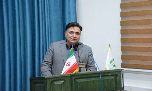 اردبیل در بحران کمبود فضای سبز؛ چرا شهرمان درخت ندارد؟