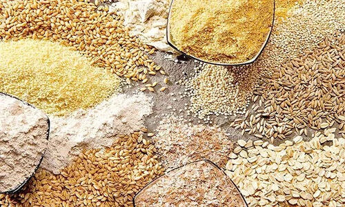 صف‌های طولانی در نیکو؛ تهدید تازه برای ثبات بازار نهاده‌های دامی