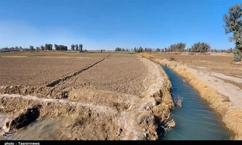 سرمایه ملی در سیستان چگونه به دست فراموشی سپرده شد؟ بررسی تلخ‌ترین اشتباهات مدیریتی