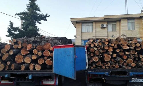 توقیف ۲ خودرو حامل ۸ تن هیزم جنگلی قاچاق در اردبیل؛ دستگیری ۲ متهم
