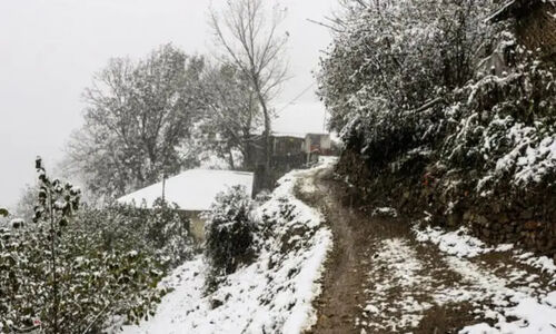 هشدار هواشناسی مازندران: برف و باران سنگین در راه است!