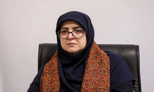 سخنگوی دولت: چشم‌مان را روی مشکلات اقتصادی قزوین نمی‌بندیم!