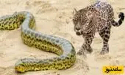 الیکا عبدالرزاقی برای اولین‌بار از دردناک‌ترین لحظه زلزله رودبار و از دست دادن پدرش پرده برداشت
