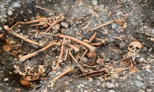 کشف شگفت‌انگیز دار مجازات ۴۰۰ ساله و اسکلت‌های اعدام‌شدگان در گرونوبل فرانسه!
