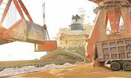ترخیص 5.8 میلیون تن نهاده دامی از بندر امام؛ نظارت دقیق دامپزشکی تضمین سلامت!