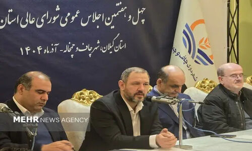 حاجی‌بگلو: توزیع منابع ارزش افزوده فقط با الگوی مصرف ممکن است!