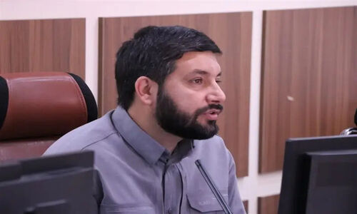 رئیس شورای شهر کرمان واکنش نشان داد: نگرانی‌ها درباره قطع درختان خیابان شهید بهشتی واقعی است؟