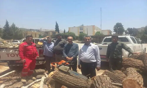 بازداشت ۱۰۱ متخلف قطع درخت و قاچاق چوب در کهگیلویه و بویراحمد؛ کشف خودرو و اره‌های غیرمجاز