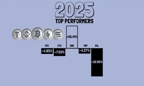 بایننس کوین ۲۰۲۵ را با بهترین عملکرد در میان ۵ ارز برتر تکان داد!