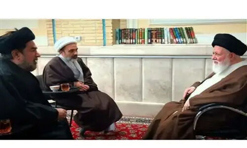 دیدار مهم آیت‌الله علم‌الهدی با رهبر برجسته شیعیان هند در مشهد؛ چه خبر است؟