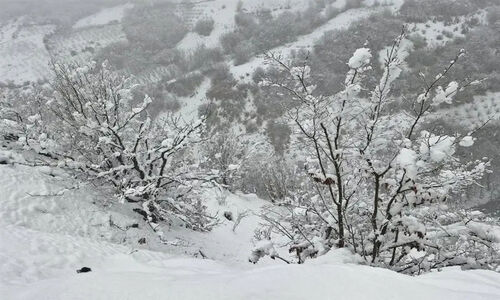 باران و برف کم‌سابقه در فارس؛ میمند با 148 میلی‌متر بارش، کشاورزان را به وجد آورد!