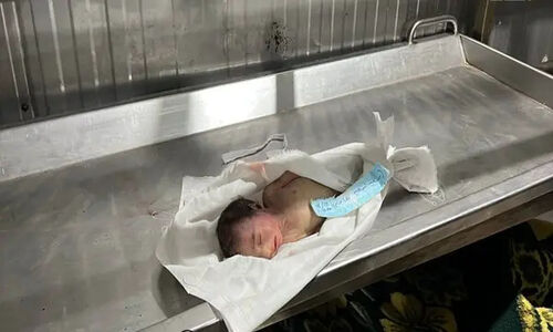 شهادت دلخراش نوزاد یک ماهه در سرمای وحشتناک نوار غزه؛ سکوت جهان را بشکنید!