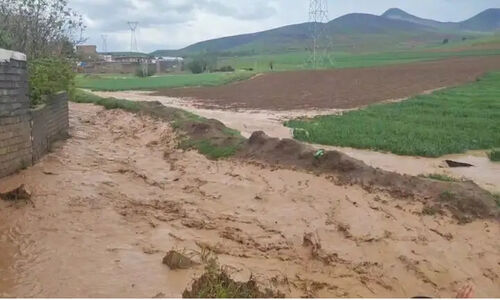 نجات معجزه‌آسای کشاورز گرفتار در سیلاب ناگهانی روستای گرو میناب