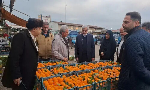 فرماندار رشت: بازار شب یلدا زیر ذره‌بین کنترل قیمت‌هاست!