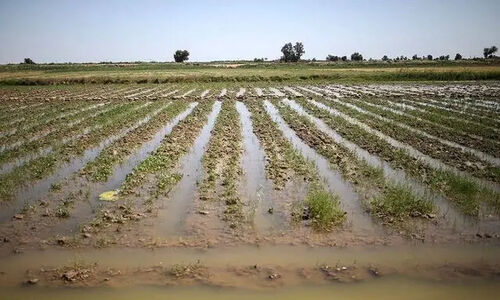 خسارت میلیاردی سیلاب به زیرساخت‌های حیاتی شهرستان زرآباد؛ روستاها در معرض خطر جدی!