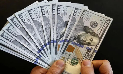 چرا ۱۲ میلیارد دلار نهاده کشاورزی فشار ارزی را سنگین‌تر کرد؟