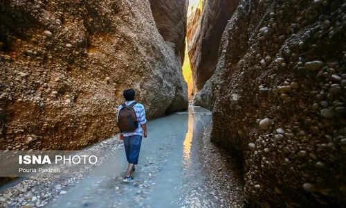 ابلاغ هشدارهای حیاتی به برگزارکنندگان تورهای طبیعت‌گردی دزفول برای حفاظت از جنگل‌ها