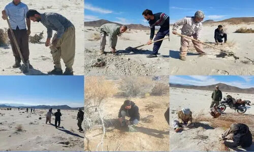 هم‌افزایی بزرگ برای مهار ریزگردهای تالاب‌های فارس؛ آیا طشک و بختگان نفس تازه می‌گیرند؟