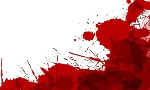 فاجعه دلخراش در شب یلدا؛ مهمانی خاطره‌انگیز تبدیل به قتل شد!