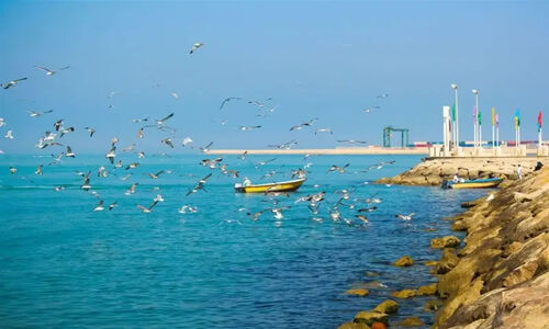 آرامش جوی بوشهر در آستانه وزش بادهای شمال‌غربی؛ دریانوردان مراقب باشند!