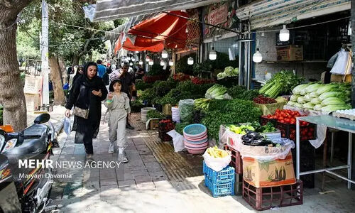 برخورد قاطع با گران‌فروشی میوه و سبزی؛ نظارت‌ها به اوج رسید!
