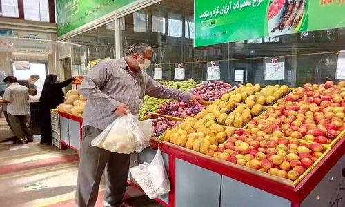 تأمین میوه در کشور کاملاً تضمین شده؛ خبری از کمبود نیست!