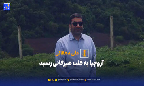 ورود نگران‌کننده آروجیا به قلب جنگل هیرکانی؛ راهکارهای مقابله چیست؟