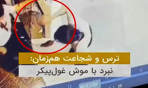 دختر شجاعی که با پاهایش موش غول‌پیکر را گرفت و همه را شوکه کرد!