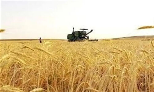 رشد شگفت‌انگیز 136 درصدی اعتبارات سرمایه‌ای کشاورزی در چهارمحال و بختیاری!