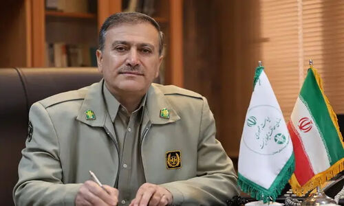چرا نبود مدیریت پسماند، حیات وحش را به دل شهرها می‌کشاند؟