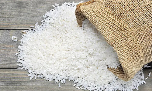 سخنگوی تعزیرات خبر داد: قیمت برنج تا ۱۲۰ هزار تومان سقوط می‌کند!