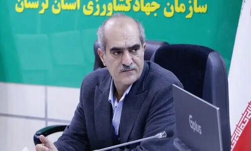 لرستان با تولید سالانه ۳۹ میلیون شاخه گل، قلب تازه گل‌های رز و نرگس در ایران!