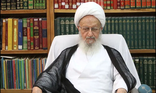 پاسخ آیت‌الله مکارم درباره سن مجاز اهدا کلیه؛ آیا کودکان هم می‌توانند عضو اهدا کنند؟