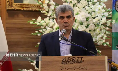 محمدی فاش کرد؛ چرا کارآفرینان گیلان هنوز چشم‌انتظار حمایت مالی و قانونی‌اند؟
